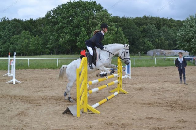 reitertag 2013 90
